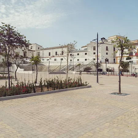 Olivar De Belen *