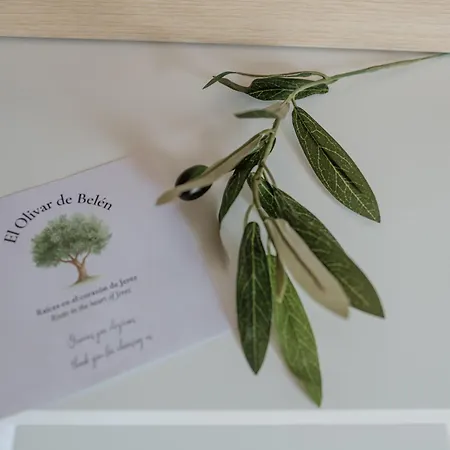 Olivar De Belen جيريز